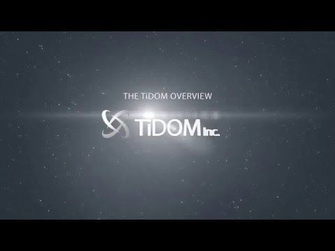 One Of The High Ticket Money Making Programs | Tidom Inc. Review | 203-982-7449