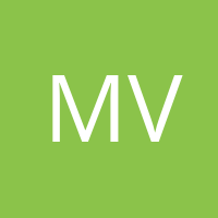 Mr. Viral