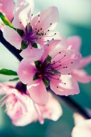 windkracht.10@hotmail.com